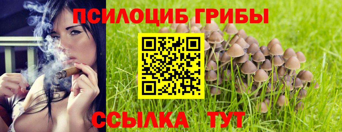 Галлюциногенные грибы GOLDEN TEACHER Тавда