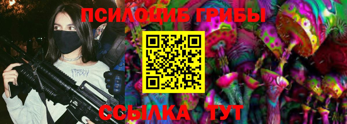 Псилоцибиновые грибы мухоморы  Псилоцибиновые грибы Psilocybine cubensis  Тавда  Вход с VPN 